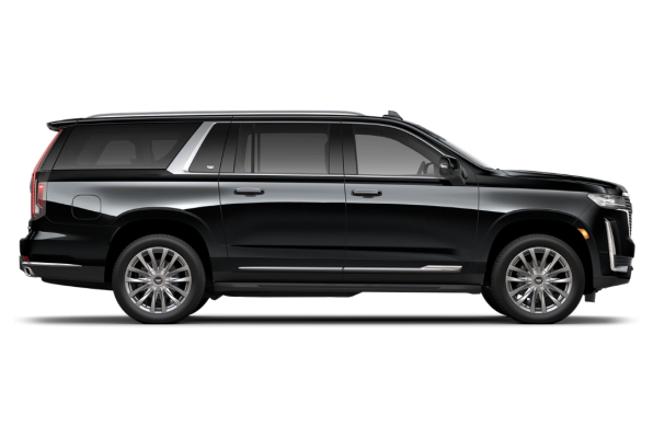 Untitled design - 2023-03-16T121457.763