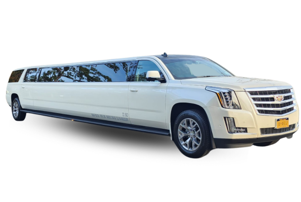 Untitled design - 2023-03-21T135817.332